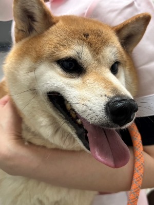いず3.jpg
