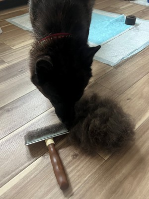 おはぎ1.jpg