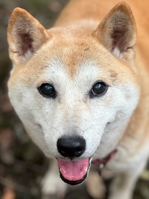 こうちゃん.jpg
