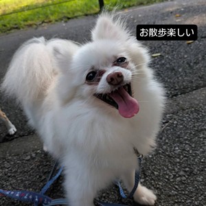 すずらん９.jpg
