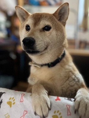 せとか11.jpg