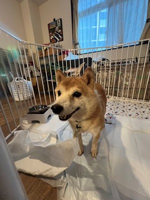 のぞみ３.jpg