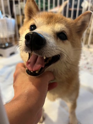 のぞみ４.jpg