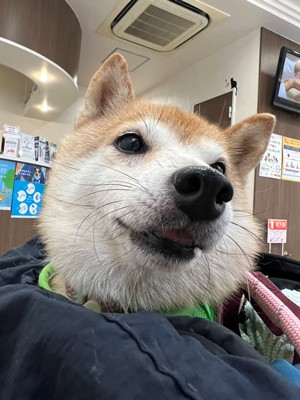 のぞみ1.jpg
