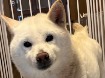 ますこHappy.jpeg