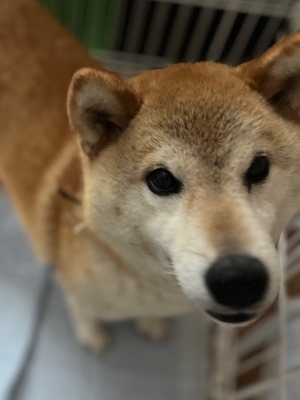 れいる6.jpg