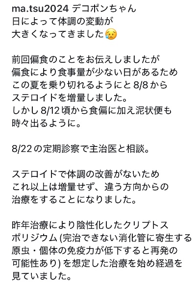 デコ１.jpg