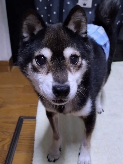 デコ.jpg