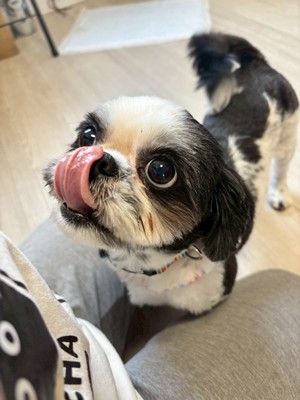 パンナ2.jpg