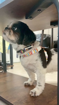 パンナ4.jpg