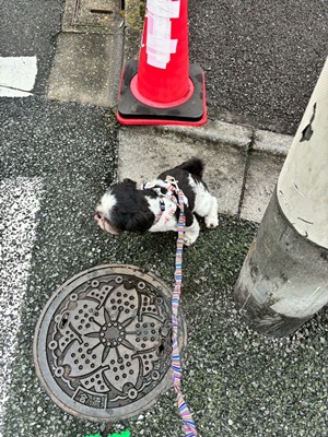 パンナ6.jpg