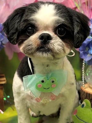 パンナT.jpg