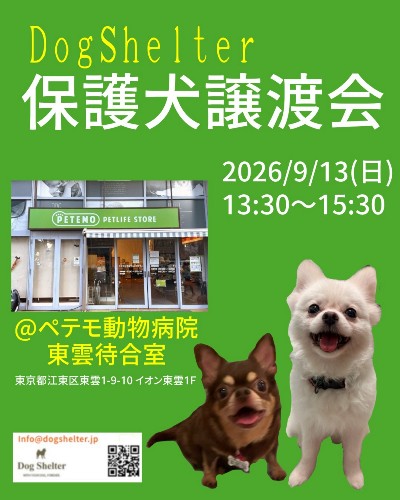 ペテモ譲渡会ポスター.jpg