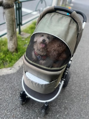 ホタテ８.jpg