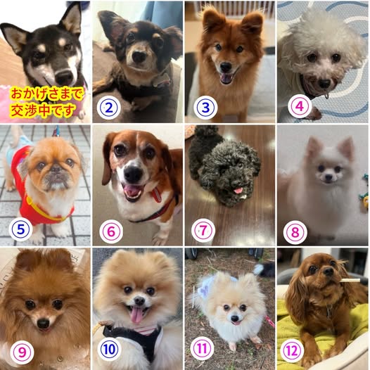 中目変更.jpg