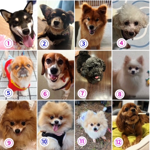 中目3.jpg