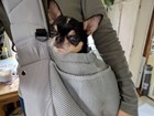 坂本風くん.jpg