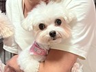 太田モモちゃん.jpg