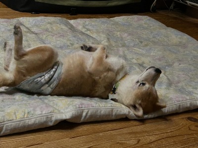 尾田っち４.jpg