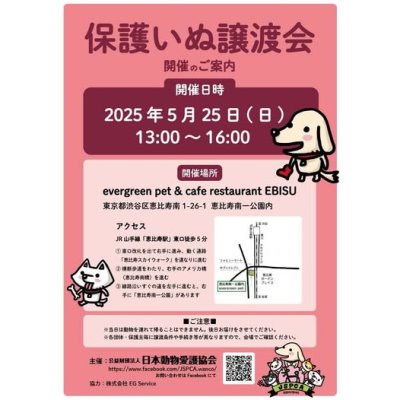 恵比寿5月.jpg