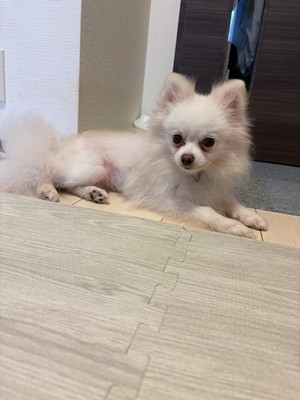 木綿2.jpg