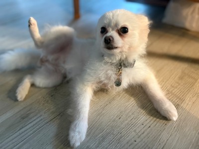 木綿4.jpg