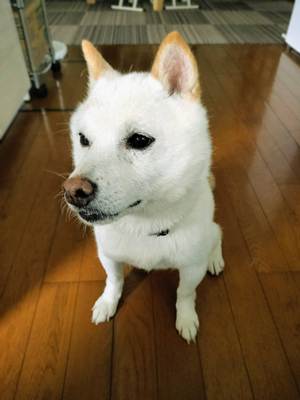 栄一郎1.jpg