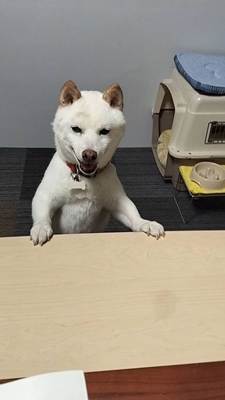 栄一郎4.jpg