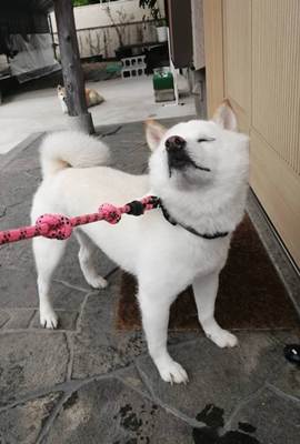 栄一郎7.jpg