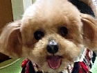 荻原なつちゃん.png