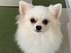 麻結1.jpg