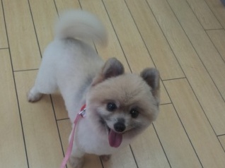2012-05-14 15.21.21.jpg