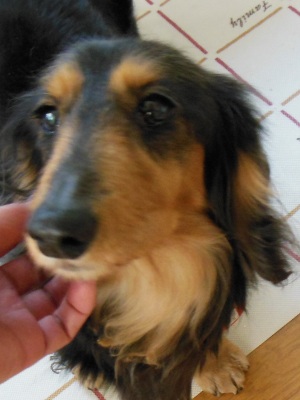 DSCN0576.jpg