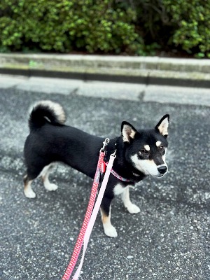 IMG_1891.jpeg