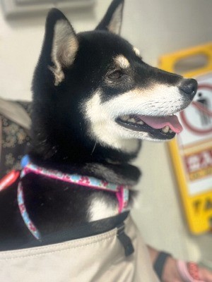 IMG_2220.jpeg