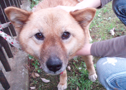 P4200013-b2.jpg