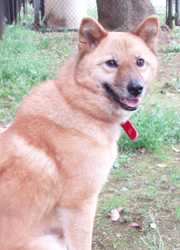 P4200017-b7.jpg