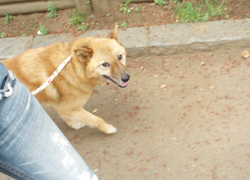 P4200024-b3.jpg