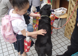 aoyama201006-b.jpg