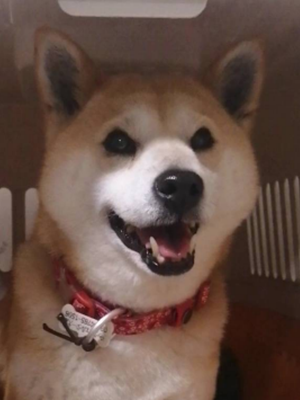 cyun0527.png