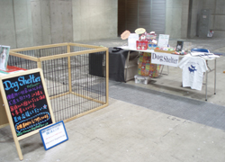 iyashi2010-b.jpg