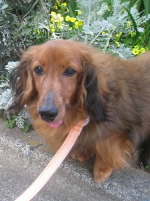 minami-p.jpg