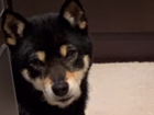 tiyoko0521.png