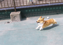 yuu-b5.jpg