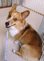 yuu-b9.jpg